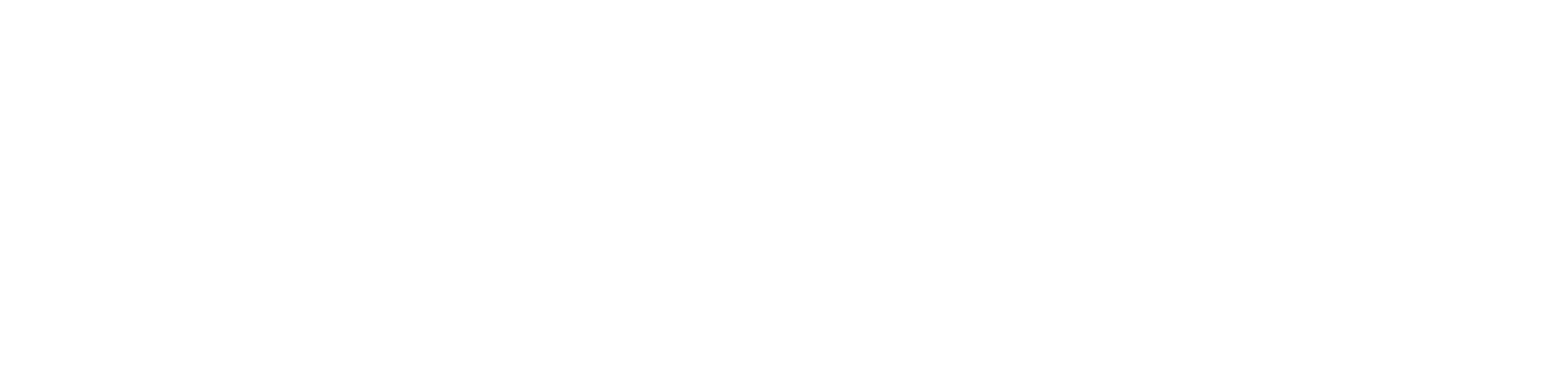 NC Local News Workshop logo white